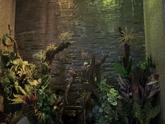 -泰适SPA馆丨精油·按摩·足道(后海地铁口店)