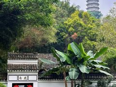 -深圳国际园林花卉博览园