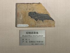 -甘肃地质博物馆