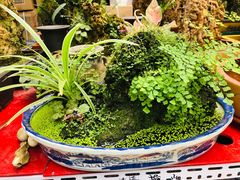 -秦美花卉(天朗·莱茵小城2期店)