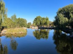 -北京西山国家森林公园