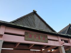-上海都市菜园