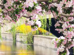 -海棠花溪(元大都城垣遗址公园)