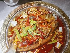 -肥家大排档(天河体育西店)