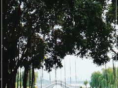 -南宁南湖公园