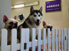 -怪兽屋·羊驼·猫咖·狗咖(俊华广场店)