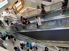 -新罗免税店(济州店)