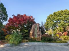 -昆山城市生态森林公园