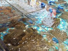-映像威海·海鲜味道(市区店)