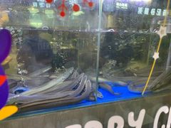 -本炙炭烤·蒲烧活鳗料理店(金沙洲店)