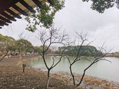 -沙家浜风景区