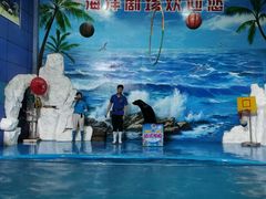 -左海海底世界