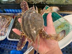 -碧海银沙海鲜餐厅(恒大海上威尼斯店)