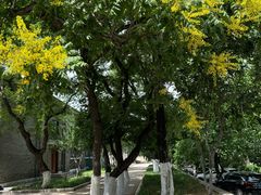 -山东师范大学(千佛山校区)