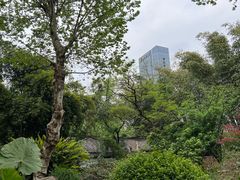 -望江楼公园
