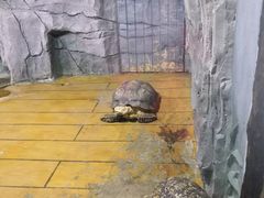 -石家庄市植物园