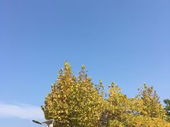 -浙江农林大学(东湖校区)