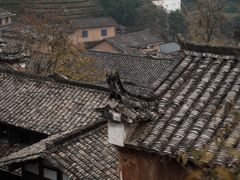 -杨家堂村