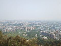 -杭州半山国家森林公园