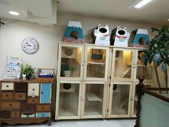 -多卡布奇宠物生活馆(上林世家店)