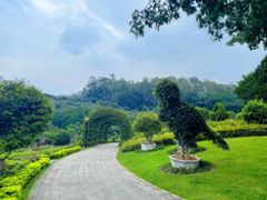 -东莞植物园