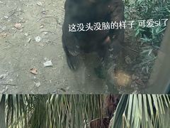 -成都动物园