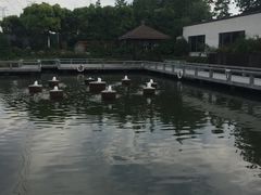 -渔堂公园餐厅·本帮菜(乐园路店)