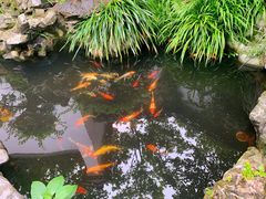 -莹珠阁·私房菜