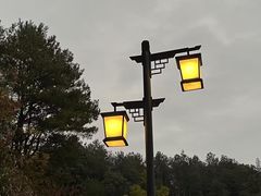 -神光山国家森林公园