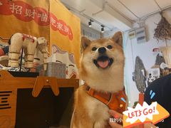 -小时光咖啡馆(北锣鼓巷店)