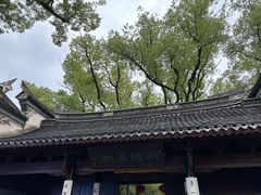 -天一阁博物院