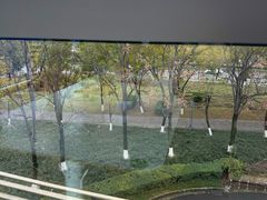 -宜家家居(高新商场店)