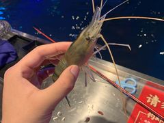 -钳真多钓虾馆·小龙虾海鲜烧烤(九六广场店)