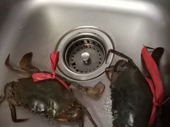 -上渡南台农贸市场(南台新苑杏花园店)