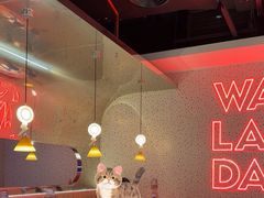 -蛙来哒(京基KKone店)