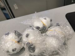 -枫蓝国际购物中心