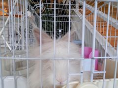 -小意思咖啡店(草桥店)