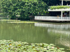 -荔枝公园(福田区)