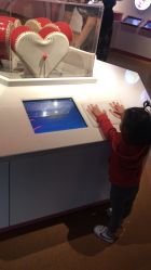 -北京科学中心儿童乐园