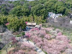 -苏州上方山国家森林公园