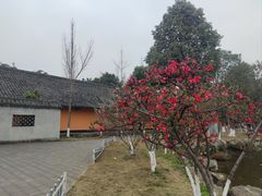-什邡罗汉寺