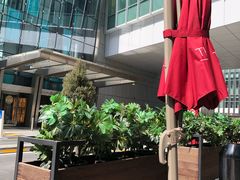 -THE WOODS 简餐 (国贸商城店)