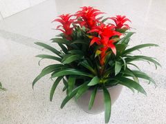 -深圳悦如酒店(香蜜公园车公庙地铁站店)