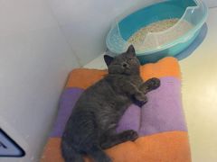 -龟与熊猫宠物公园(南坪店)