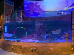 -沈阳海洋探索中心