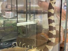 -天河领展广场