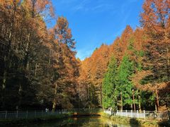 -山王坪喀斯特国家生态公园