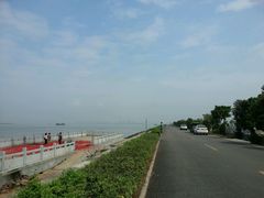 android_upload_pic-海鸥岛