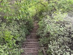 -阳台山自然风景区