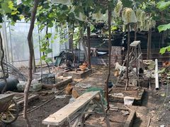 -马陆小张葡萄园农家乐